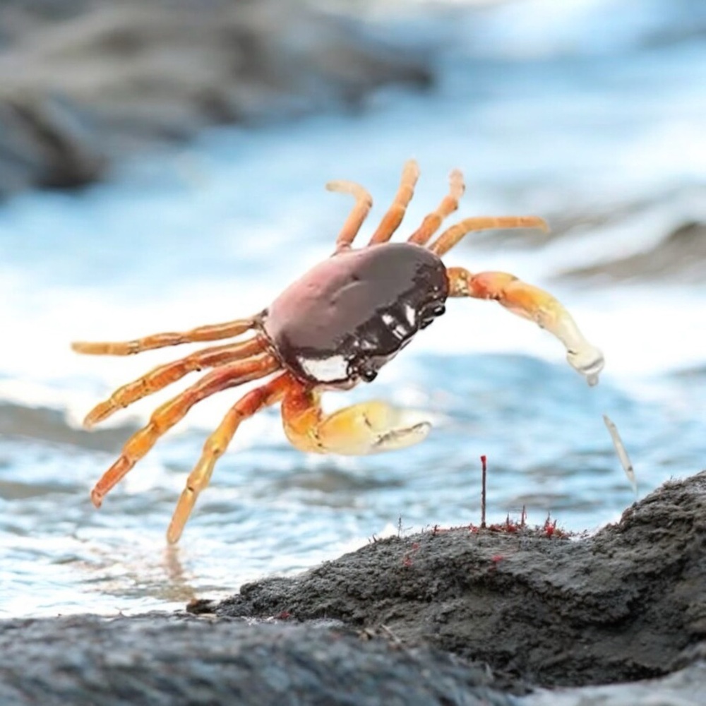 Crab Beach Nautical Drop Earrings